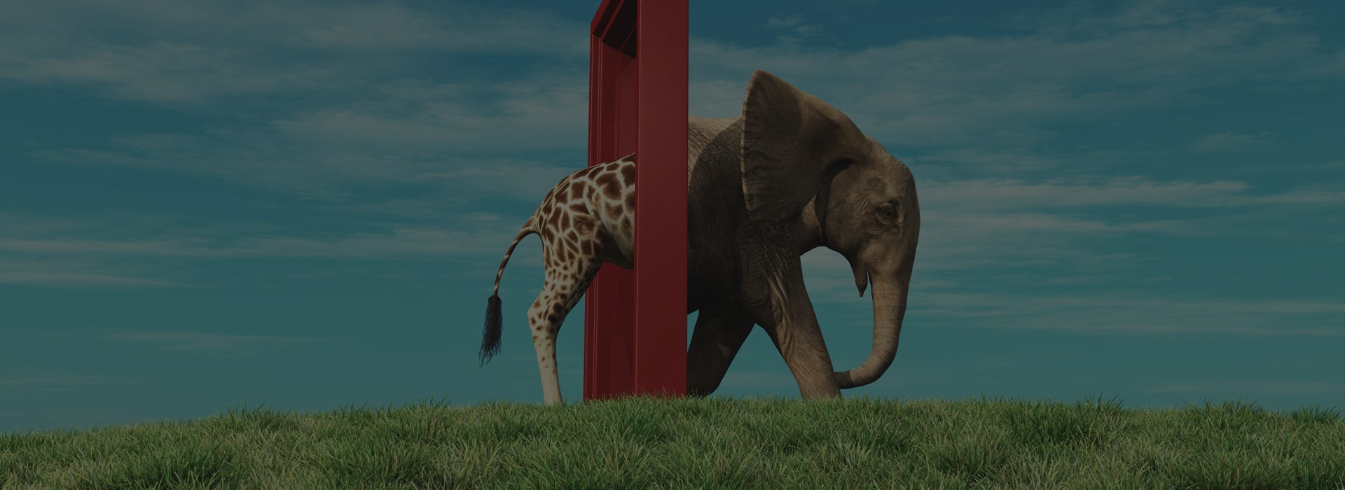 innovation-PA-KWEGA-CO-ADVOCATES